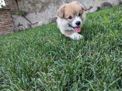 PXL_20240716_161209323