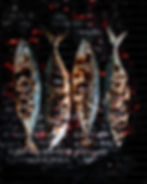 FISCH