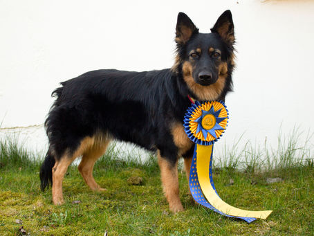 Svensk Juniorvinnare 2019 Sundsvall