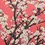 Thumbnail: Cherry Blossom Tree Wall Art Canvas Print for Elegant Modern Home Décor
