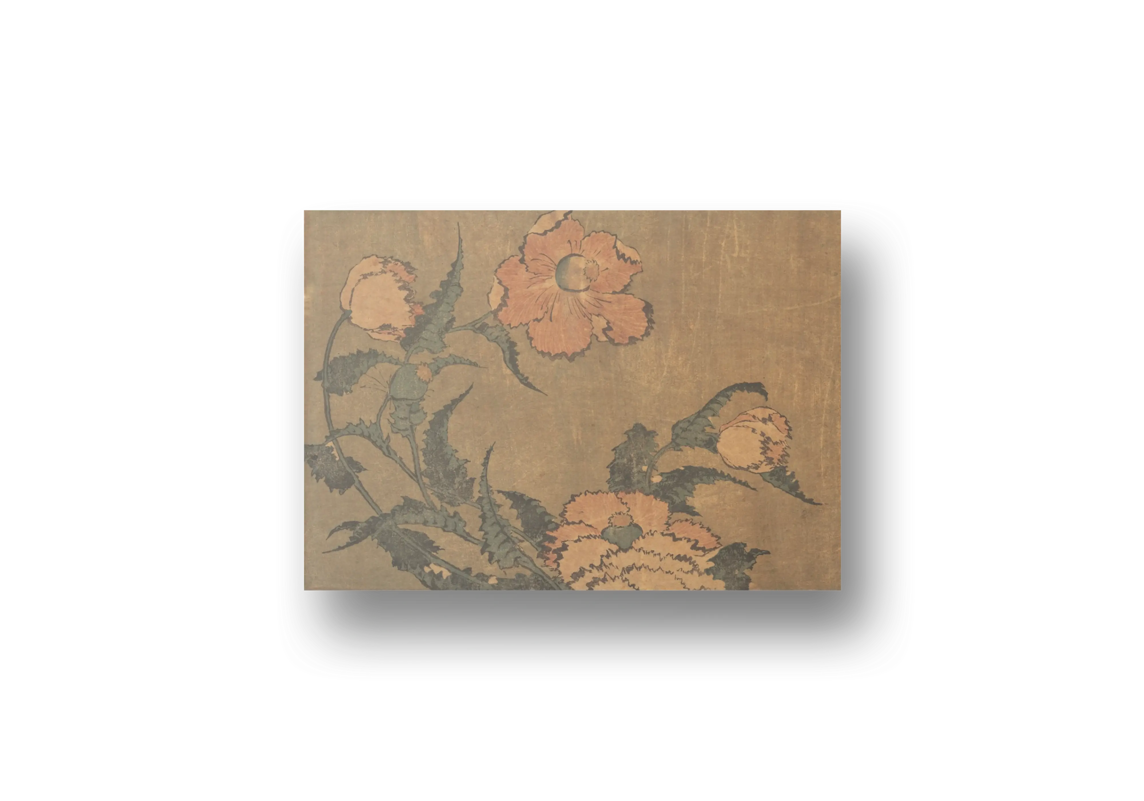 Poppies with Aged Paper Background (c. 1833) – Katsushika Hokusai