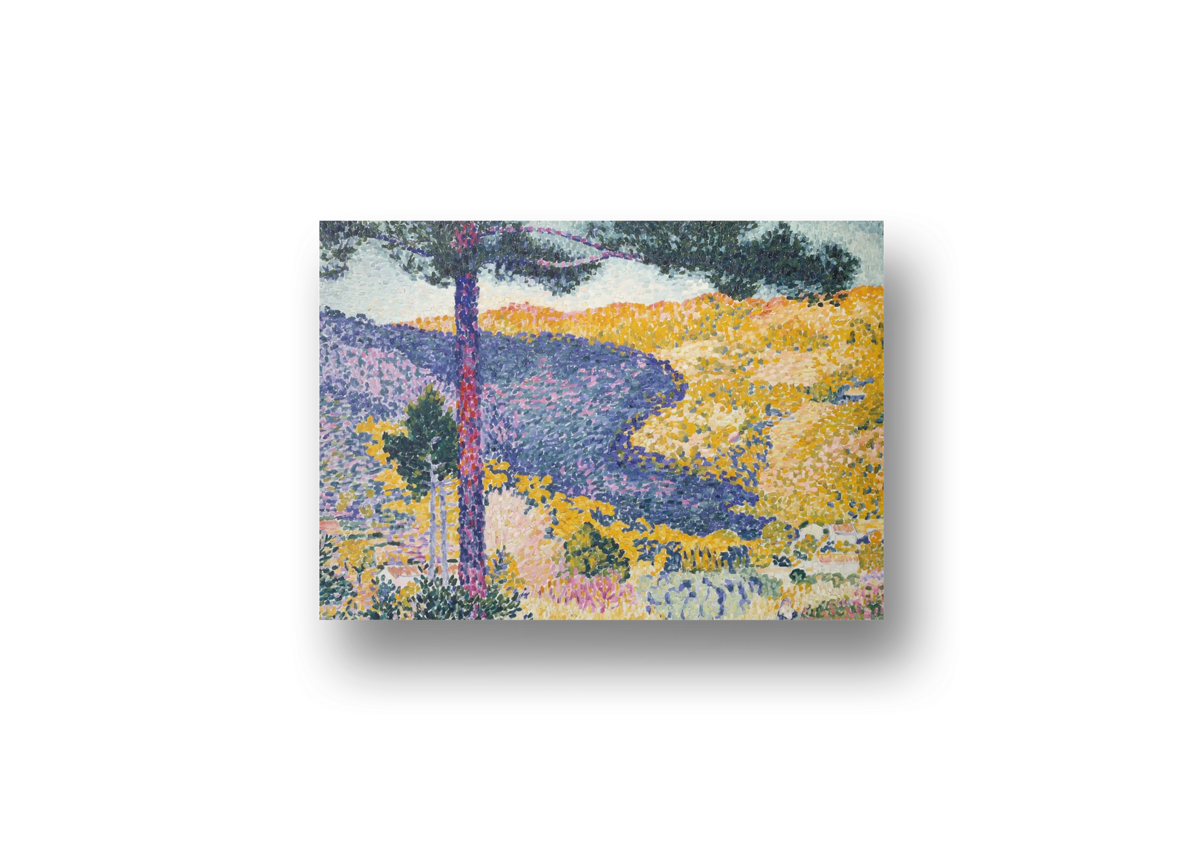 Valley with Fir (Shade on the Mountain) 1909 – henri-edmond cross
