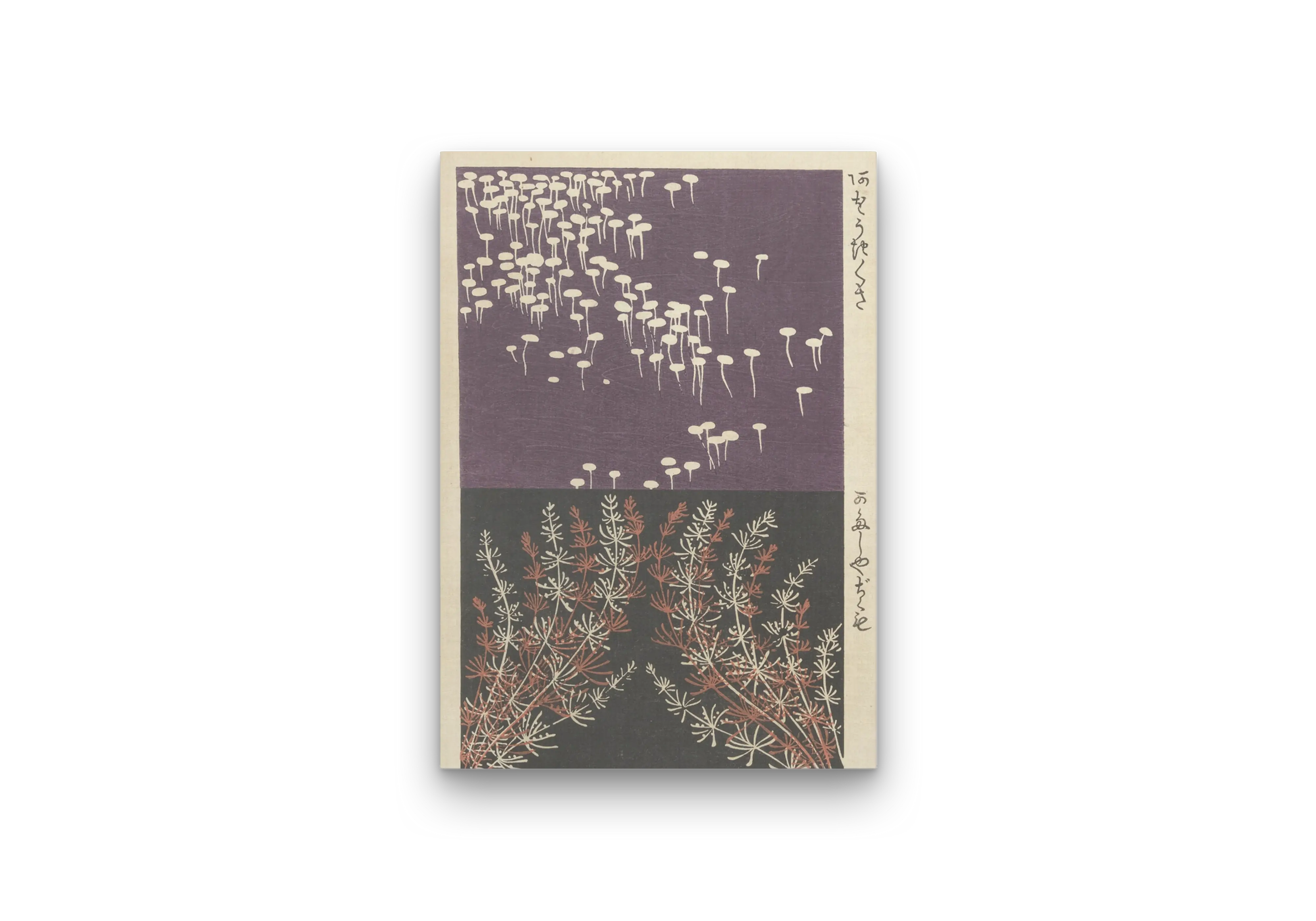 Japanese Mushroom and Wild Flora Art Print 1903 by Ogino Issui