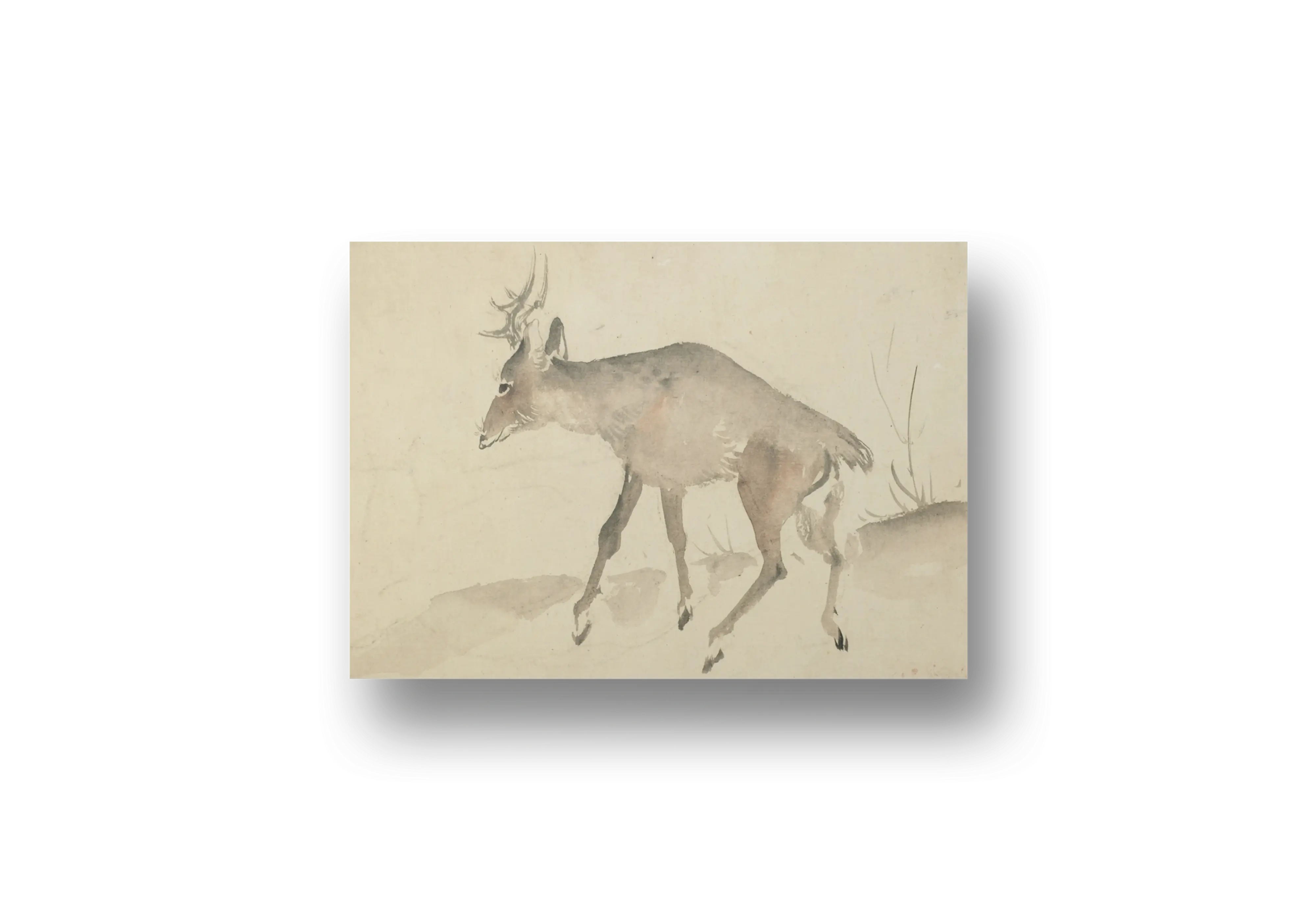 Walking Deer Ink Study (c. 1830) Japanese Art – Katsushika Hokusai