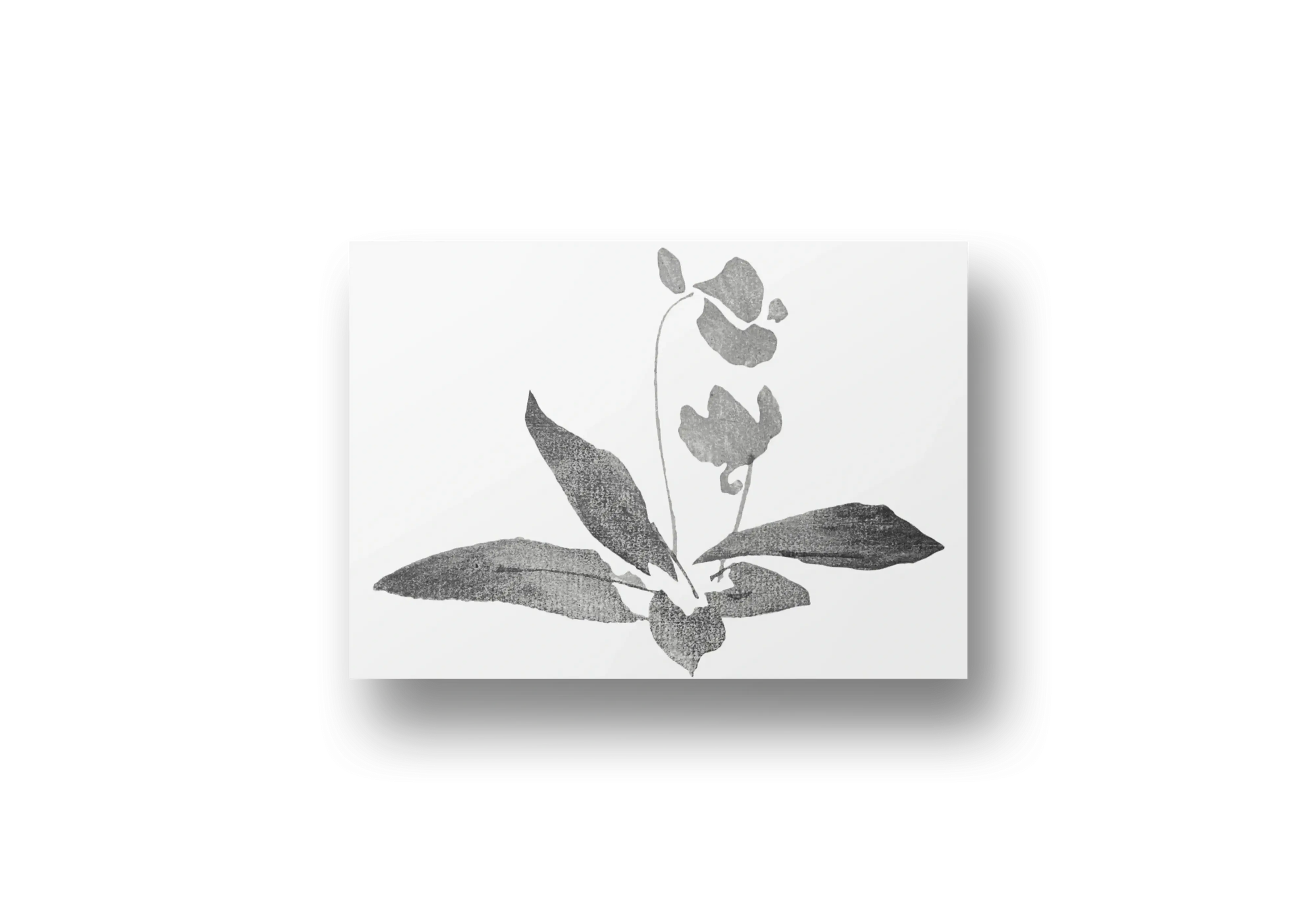 Minimalist Botanical Ink Study (c. 1830) – Katsushika Hokusai