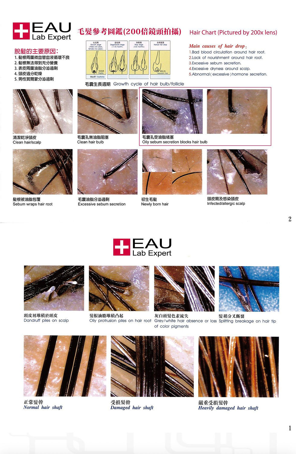 縮圖：EAU 防脱去屑洗髮精華 Anti-dandruff & Anti-hair loss Shampoo