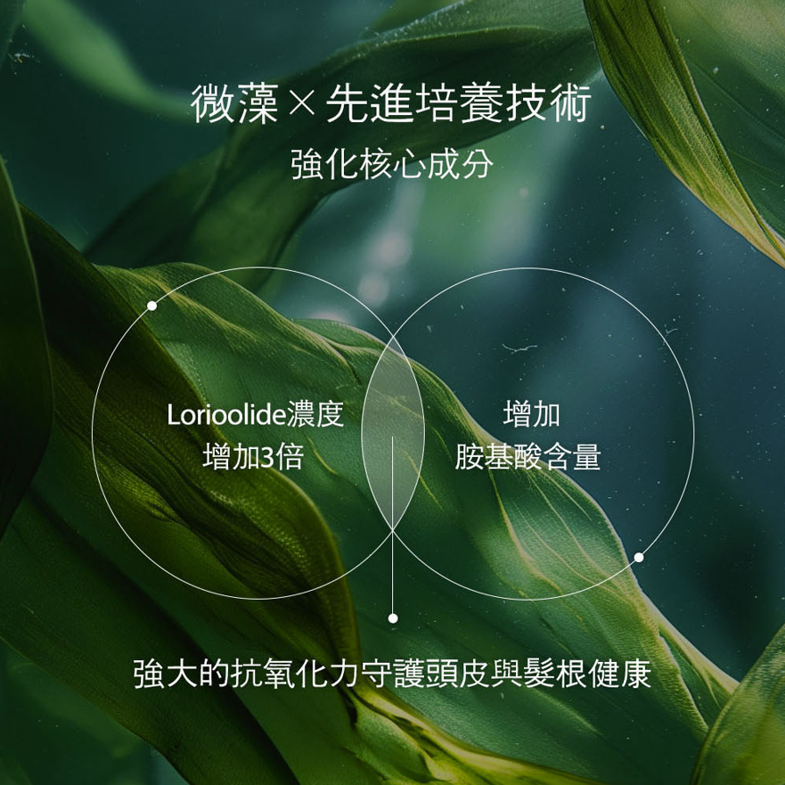 縮圖：Botalab絲蔻植護魔髮精油乾濕兩用含Deserticola Plus野生橄欖幹細胞山茶籽營養油