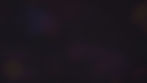 back.jpg