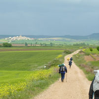 p1000639