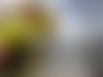 Fall Golf Guide: Multiple Reasons to Love Fall Golf