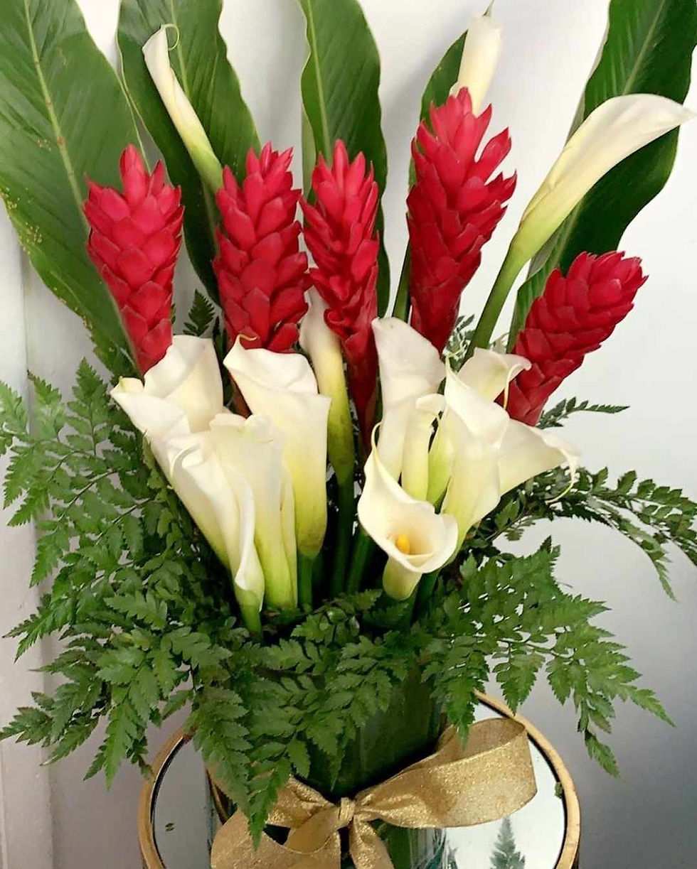 462559559_578951081756724_4900668453163745271_n