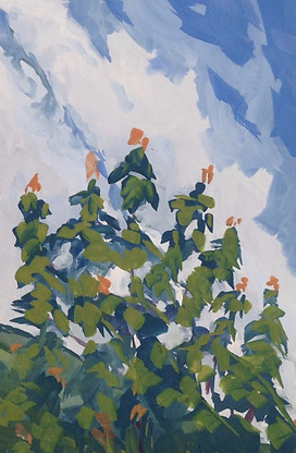 Mt Lake, Virginia, Tree Tops