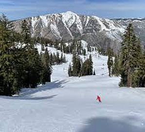 Bear Valley Slopes_edited.jpg