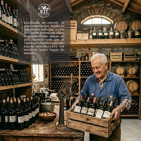 história vinho 01b.jpg