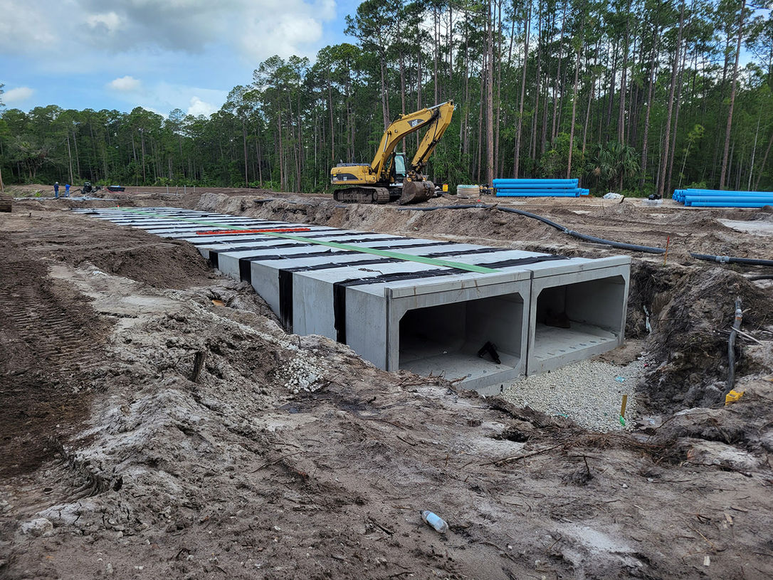 20210618_104514 smaller.jpg