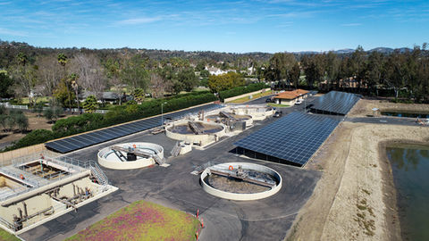 Whispering Palms, CA