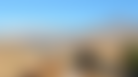 Bread in the Wilderness