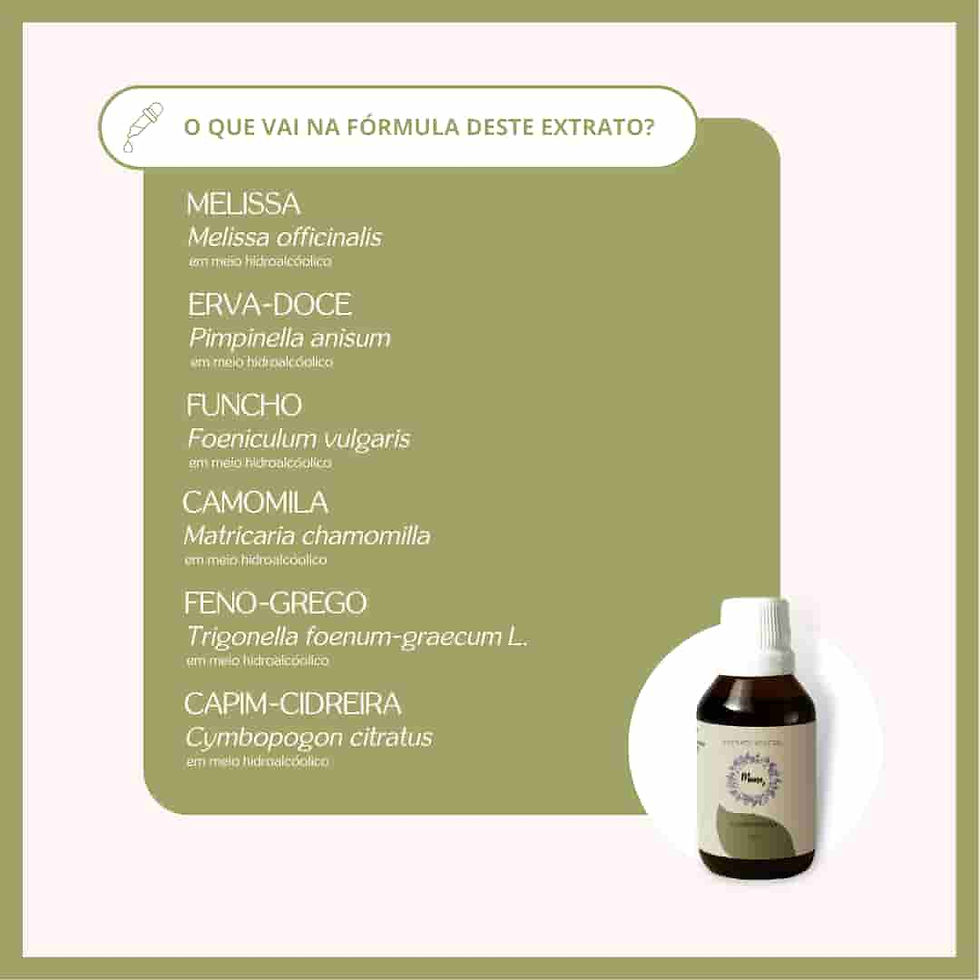 Miniatura: Extrato Vegetal Amamentação 60ml