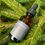 Thumbnail: The Wolfman's Beard Oil