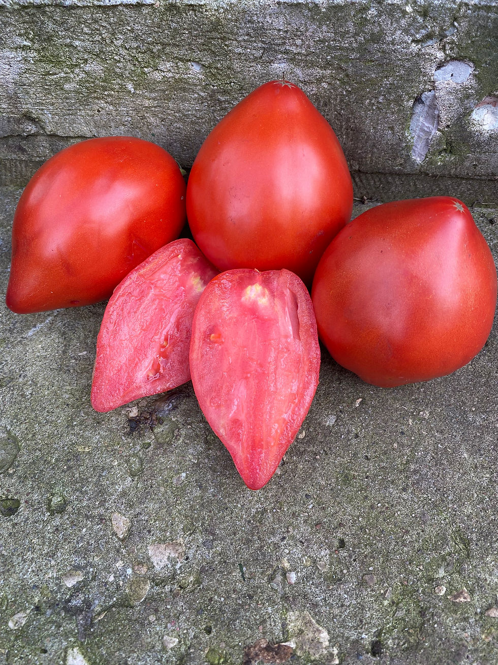 Belarusian Heart / Белорусское сердце ( Беларусь)