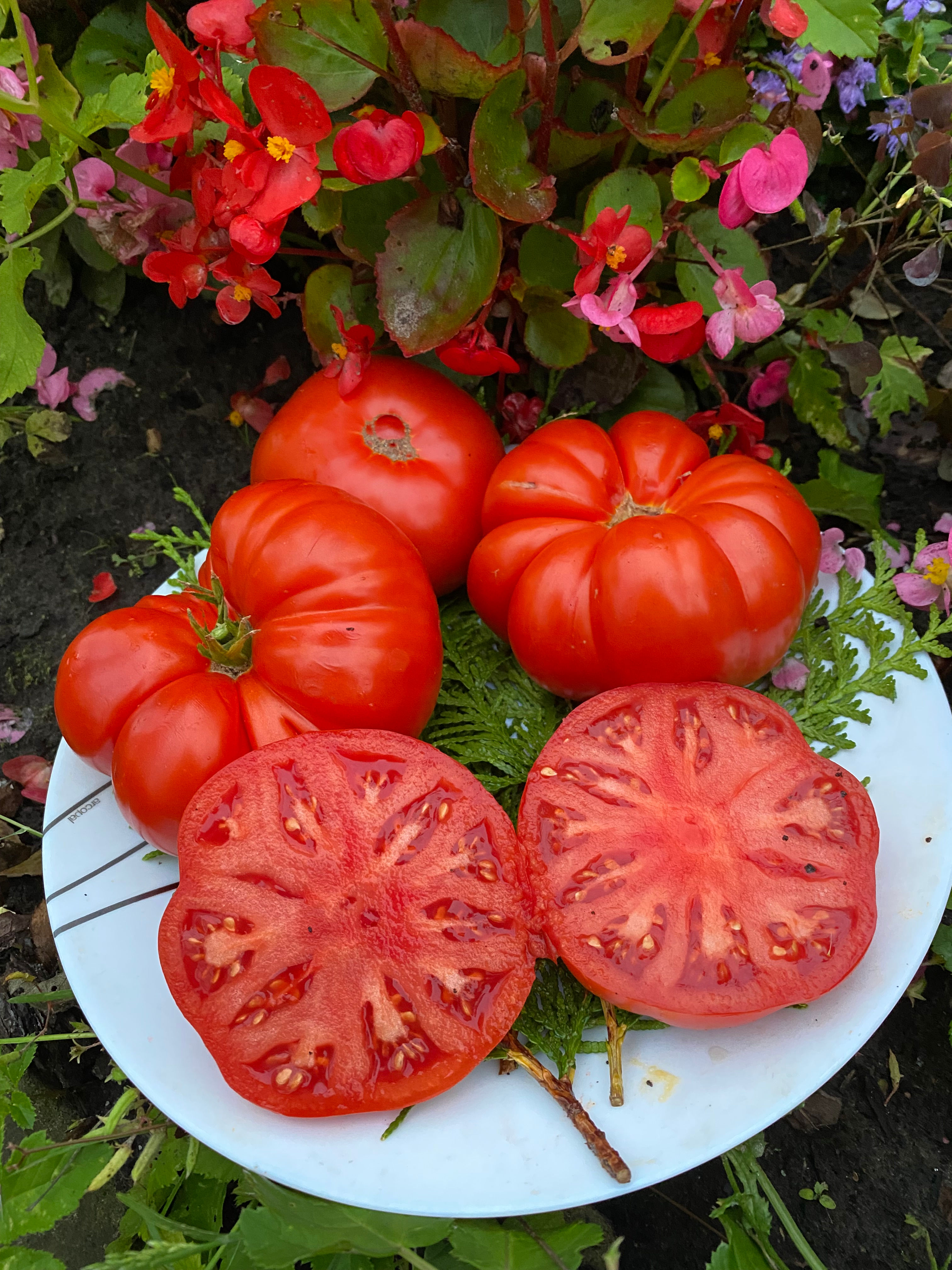 Iron Treasure / Железное сокровище