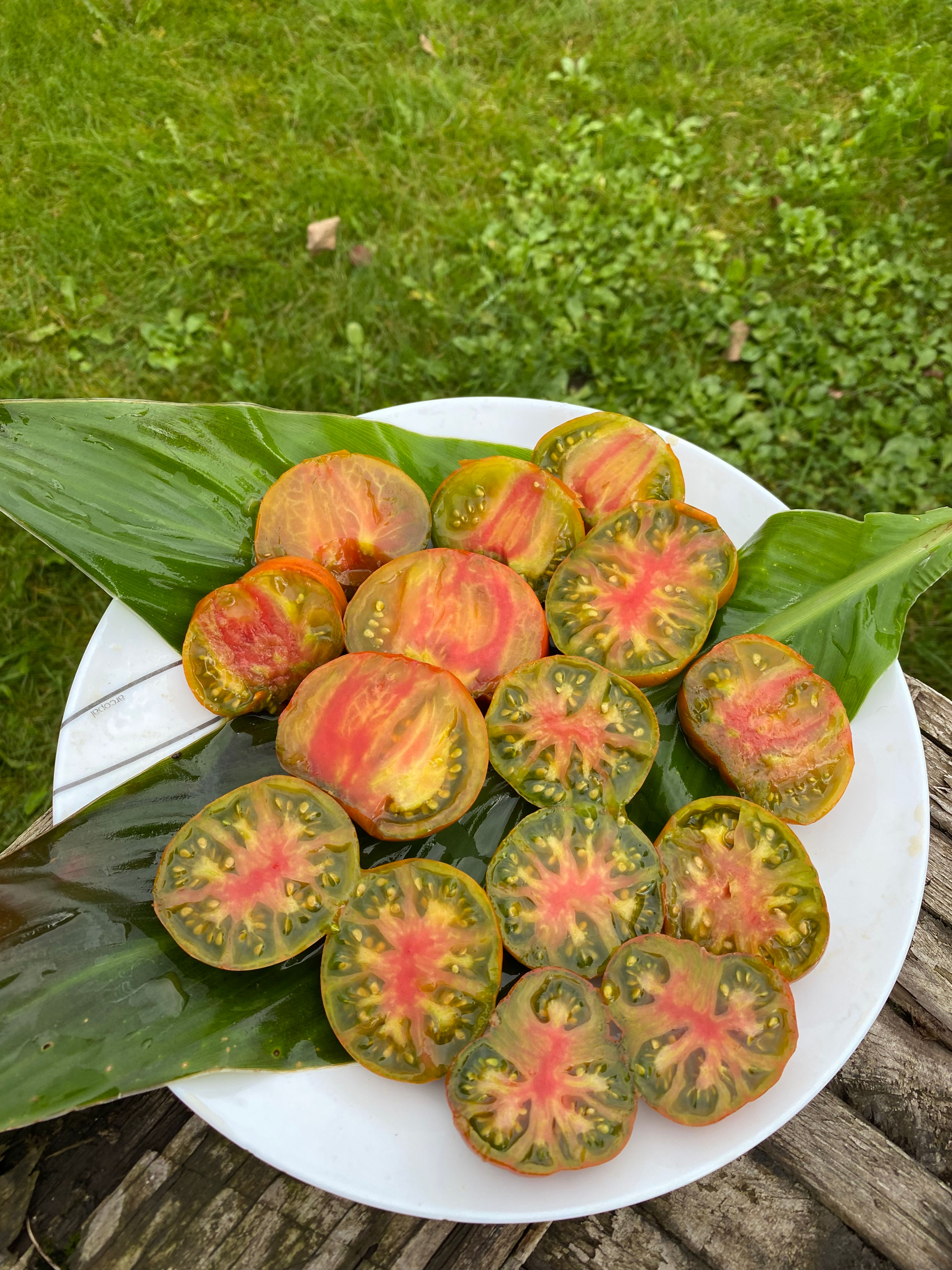 Аntique bronze / Античная бронза ( Украина)