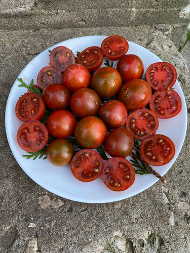 Rambling Red Stripe / Рамблинг Ред Страйп | Lux Tomatoes