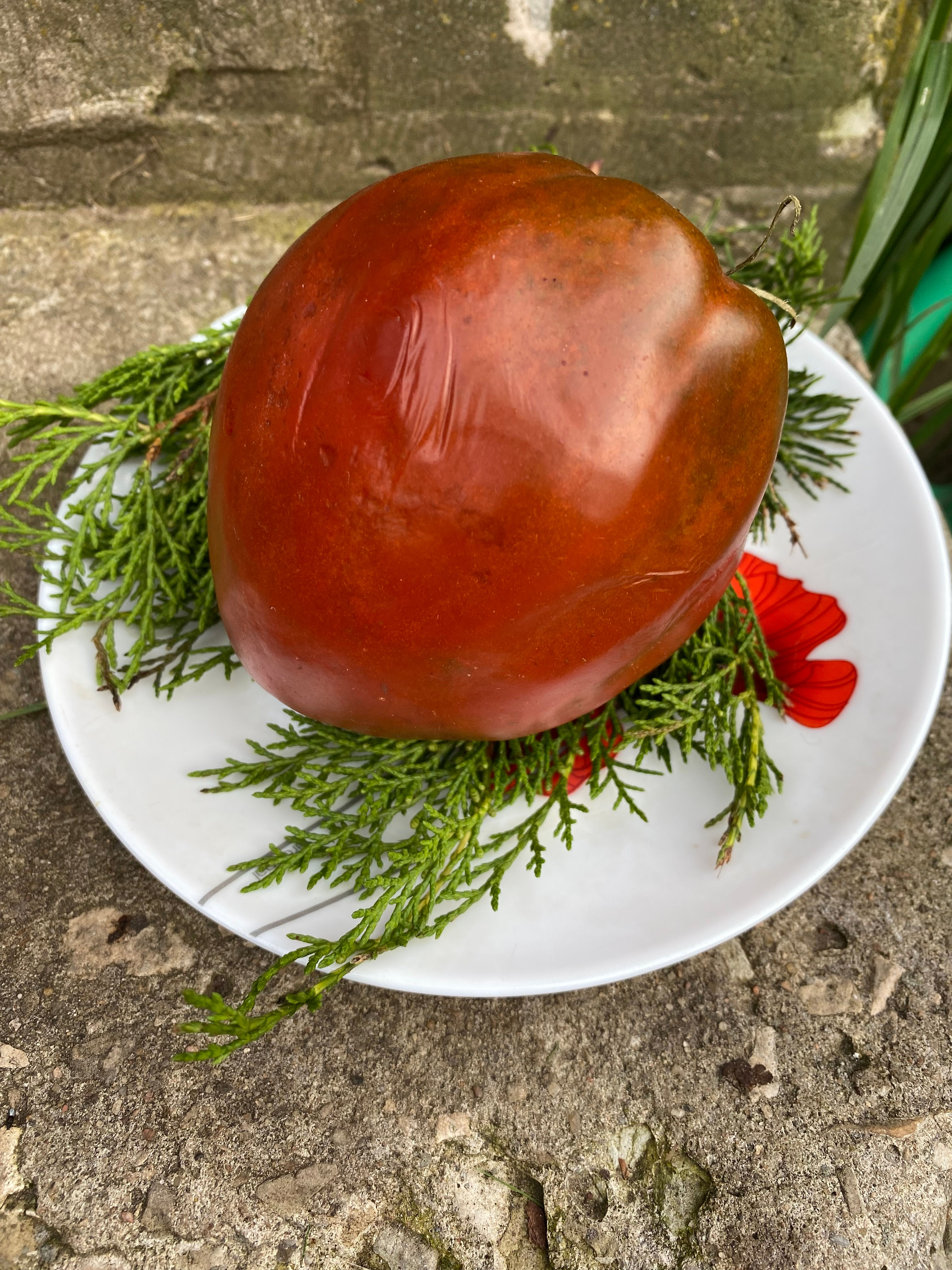 Cresta di Fuoco-2 / Огненный гребень-2, Италия