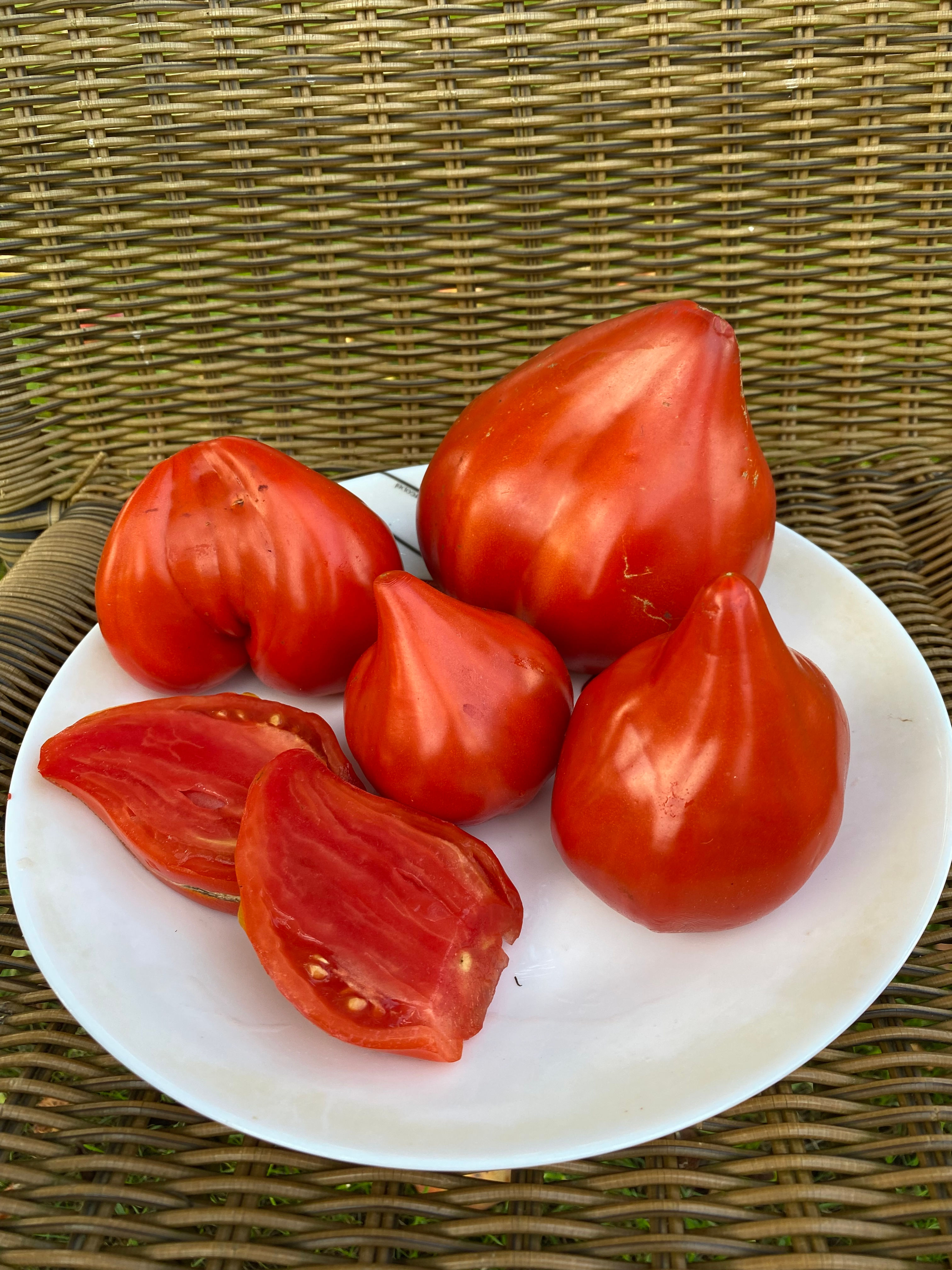 Kizil Tau / Кызыл Тау, Казахстан