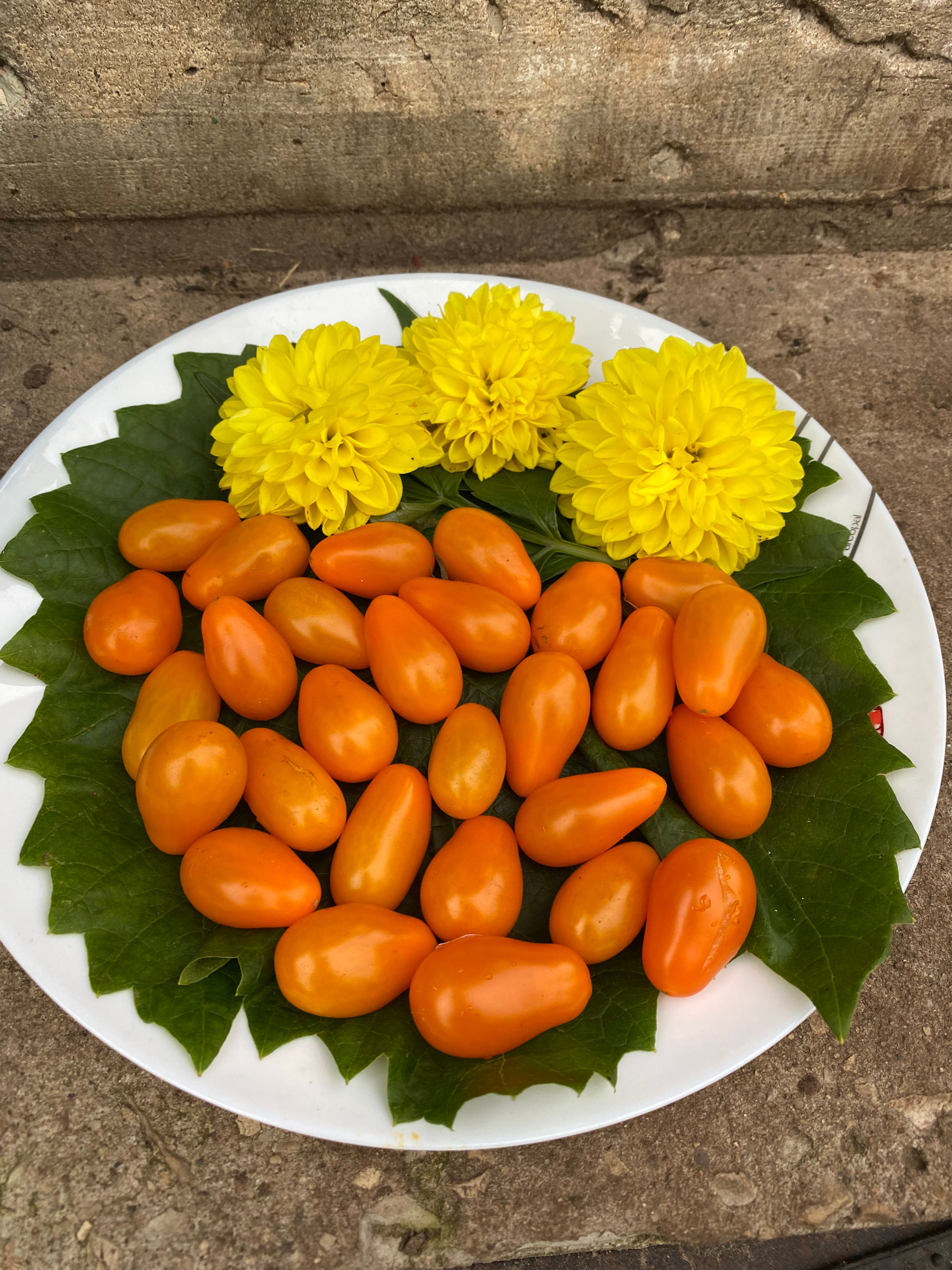 Pera Naranja / Пера Наранья, Грушевый апельсин