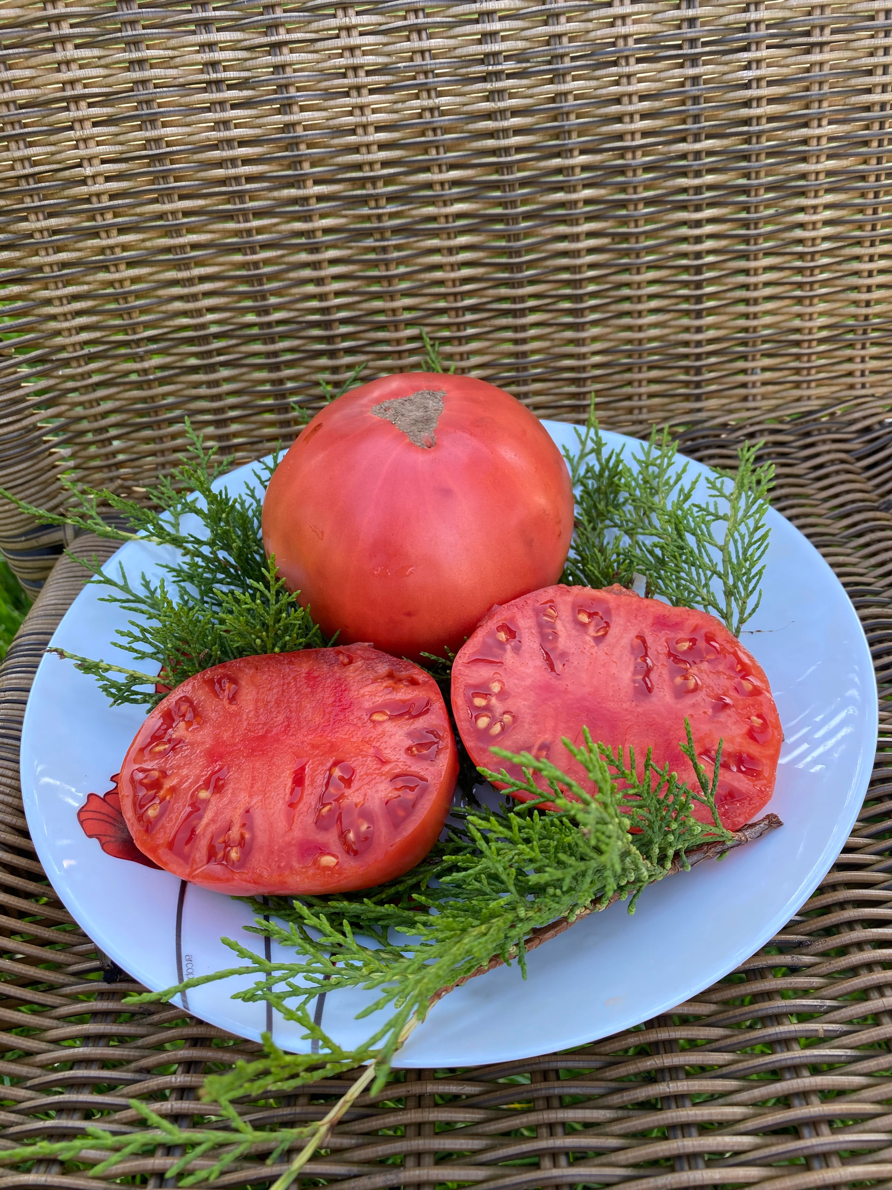 Weisnicht's Ukrainian, USA /Украинский Вейсничта