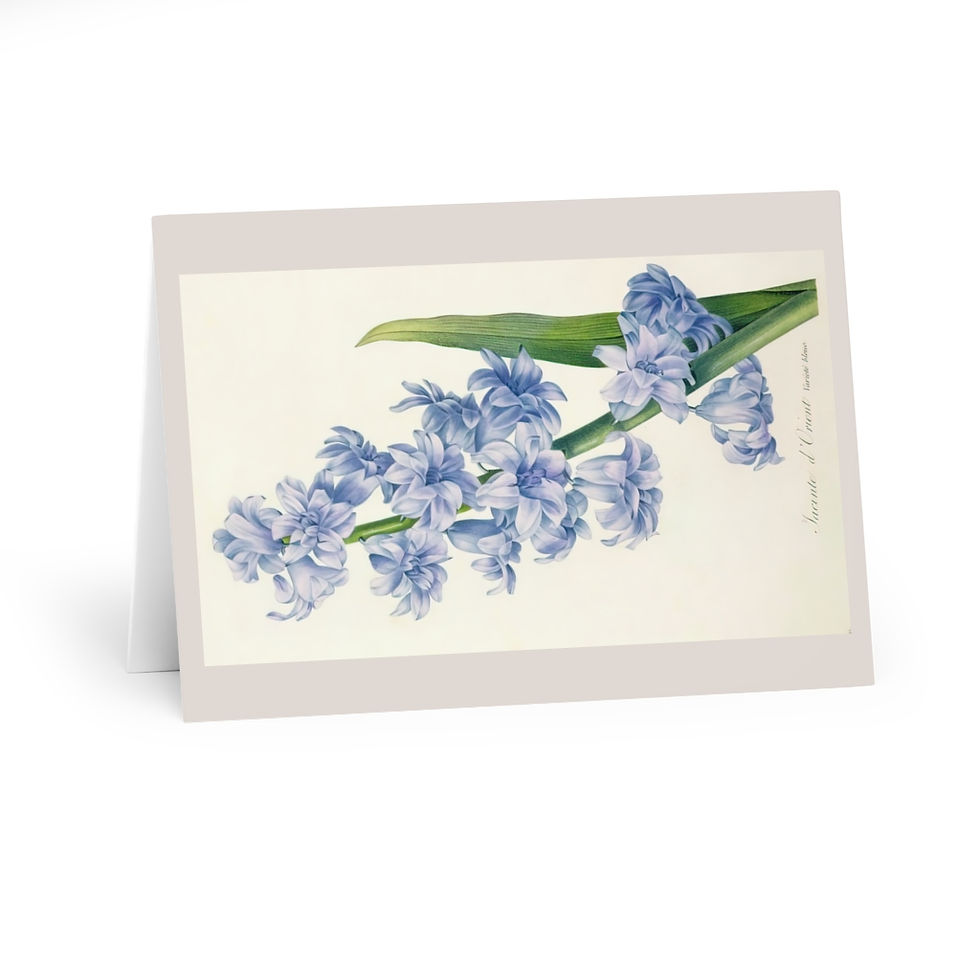 Thumbnail: Botanica Greeting Cards (5 Pack)