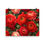 Thumbnail: Red Ranunculus Flowers Poster