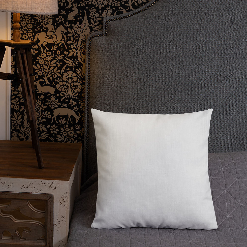 Thumbnail: Patagonia (white) Premium Pillow