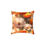 Thumbnail: Poppy Square Pillow, Comfort Decor for Home
