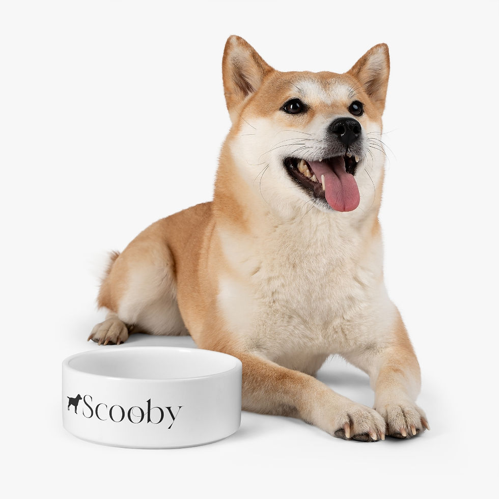 Thumbnail: Pet Bowl