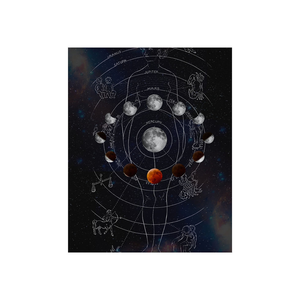 Thumbnail: Moon Phases Fine Art Posters