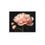 Thumbnail: Blush Peony Poster