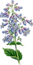004116.png