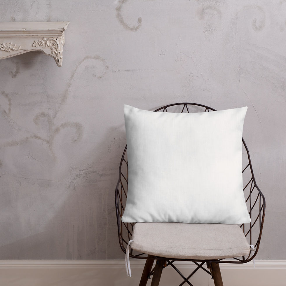 Thumbnail: Patagonia (white) Premium Pillow