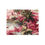 Thumbnail: Pink Tropical Placemat Set