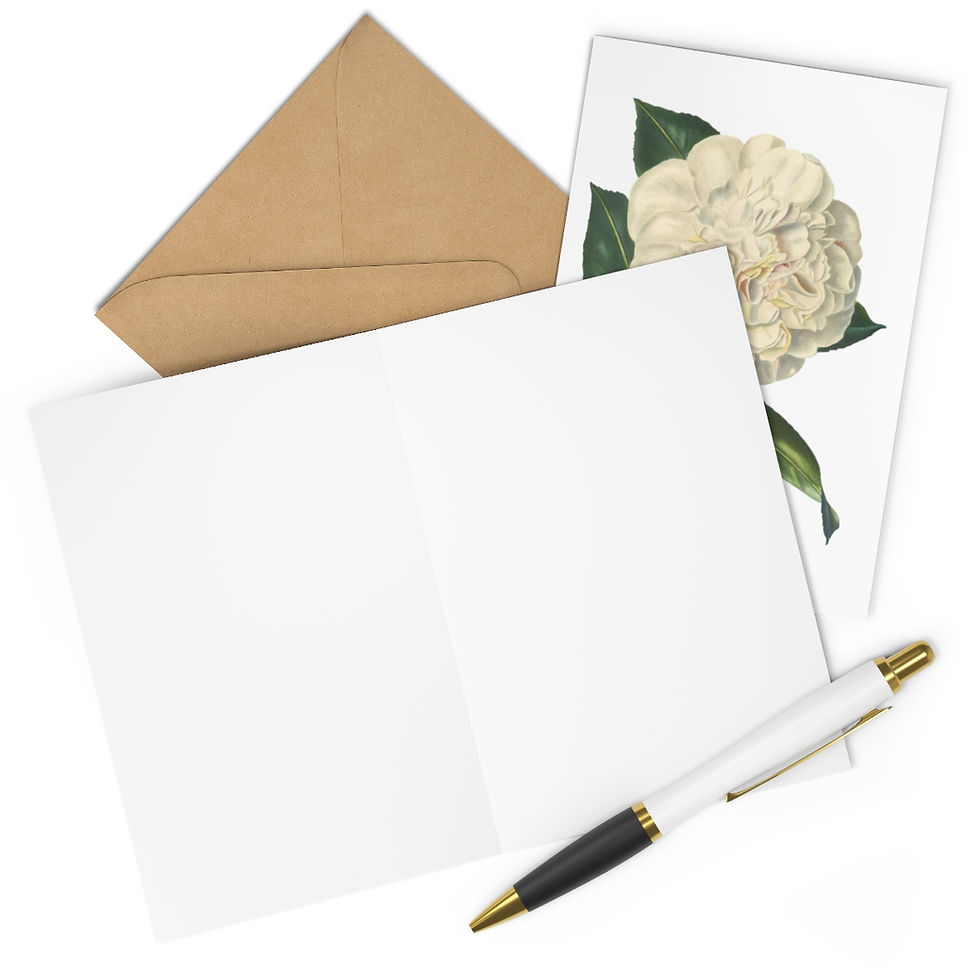 Thumbnail: Camila Greeting Cards (7 pcs)