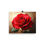 Thumbnail: Red Rose Poster