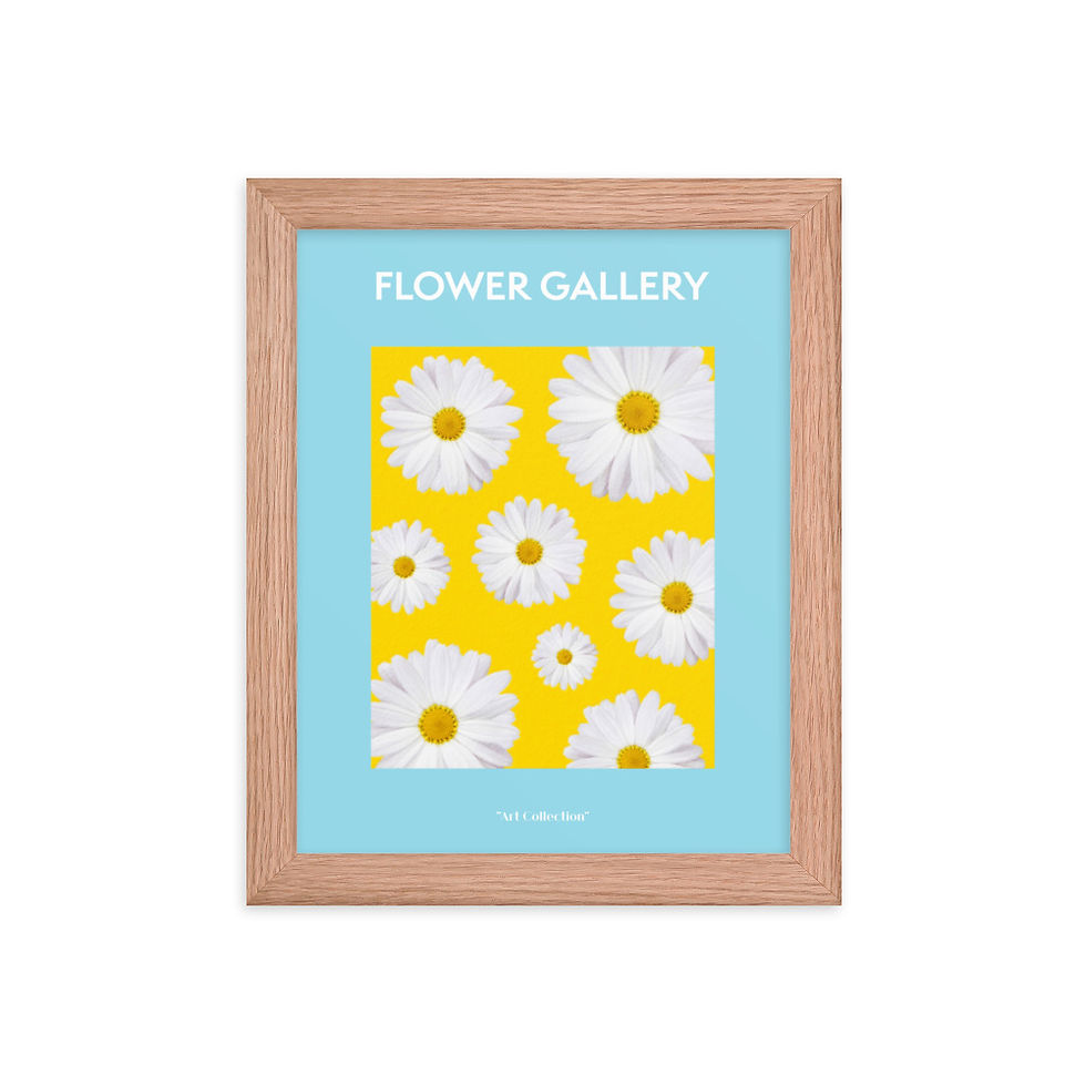 Thumbnail: Flower Gallery White Daisies om Blue