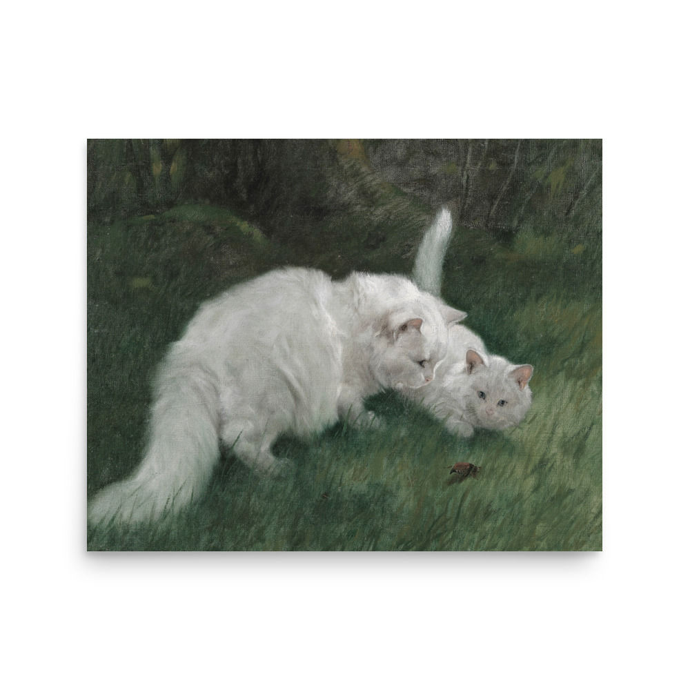 White Cats in the grass Poster