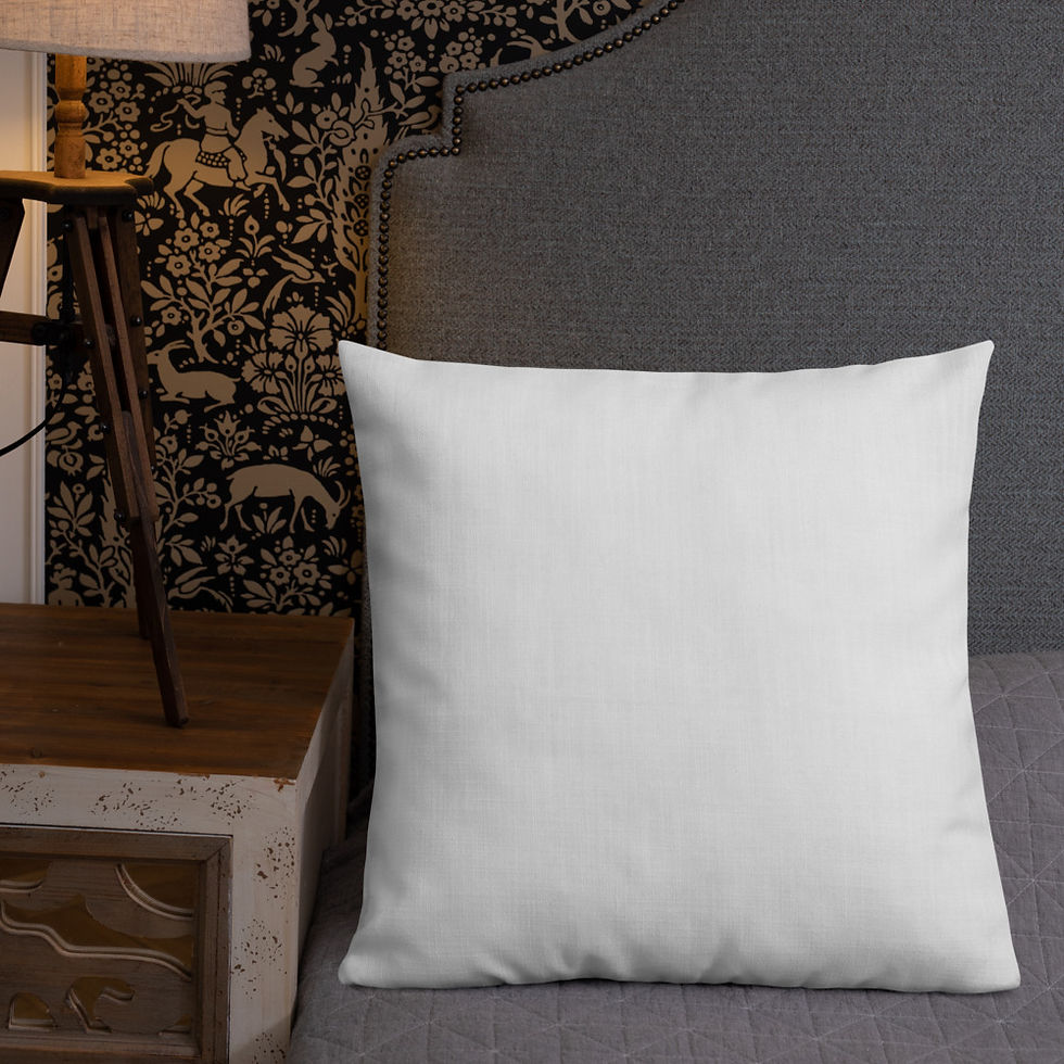 Thumbnail: Patagonia (white) Premium Pillow