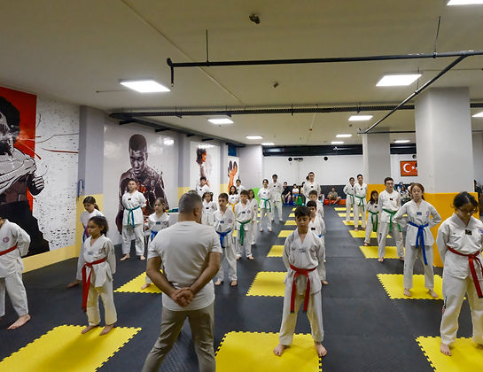 Taekwondo Genel Kursu