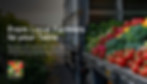 SecondHarvest_Imagery.jpg