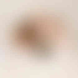 Three sisters kissing and cuddling their newborn baby brother, photo by Christchurch Newborn Photographer Kirsten Naomi Photography