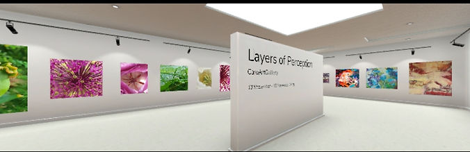 Virtualgallery1.jpg